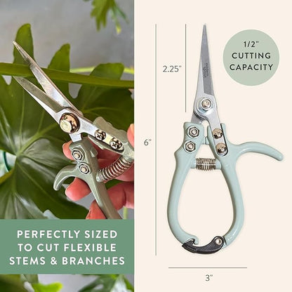 Modern Sprout Pruning Shears - Herb Snipping Scissors- Lightweight Gardening Tools W/Easy Lock - Flower Cutter Garden Shears - Carbon Steel Blade + Plastic-Free Reusable Holster (Multicolor, 12 Pcs)
