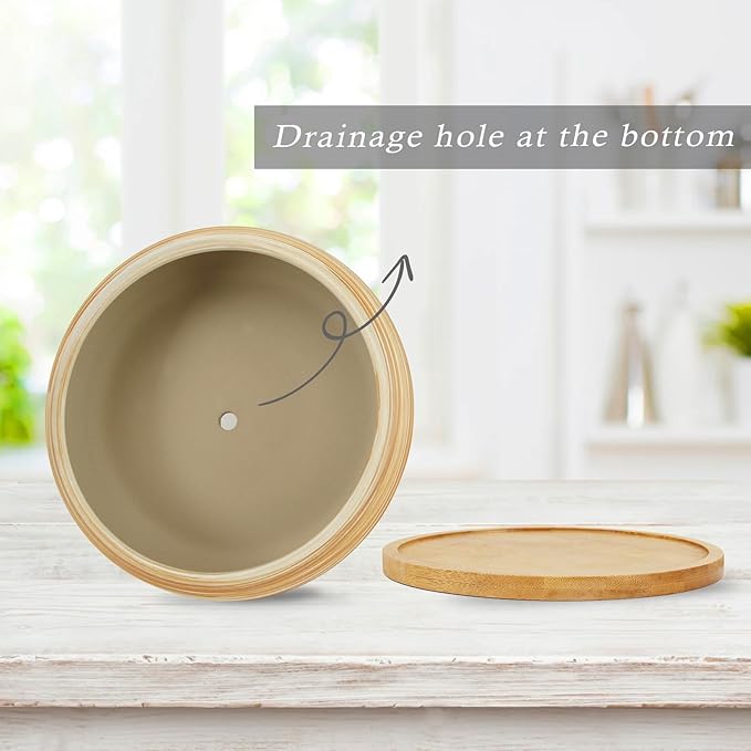 ARTKETTY Succulent Pots - Ceramic Bonsai Pots with Drainage Tray, 7.3 Inch Large Plant Pots Shallow Succulent Planters for Indoor Plants Decorative Cactus Flower Planter Bowl