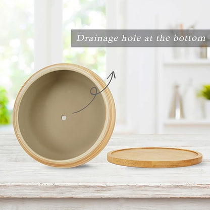 ARTKETTY Succulent Pots - Ceramic Bonsai Pots with Drainage Tray, 7.3 Inch Large Plant Pots Shallow Succulent Planters for Indoor Plants Decorative Cactus Flower Planter Bowl