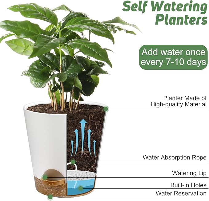 Indoor Self Watering Planters with Drainage Holes and Saucers, 8, 7, 6.5, 6, 5.5, 5 Inches, White, 6 Pots