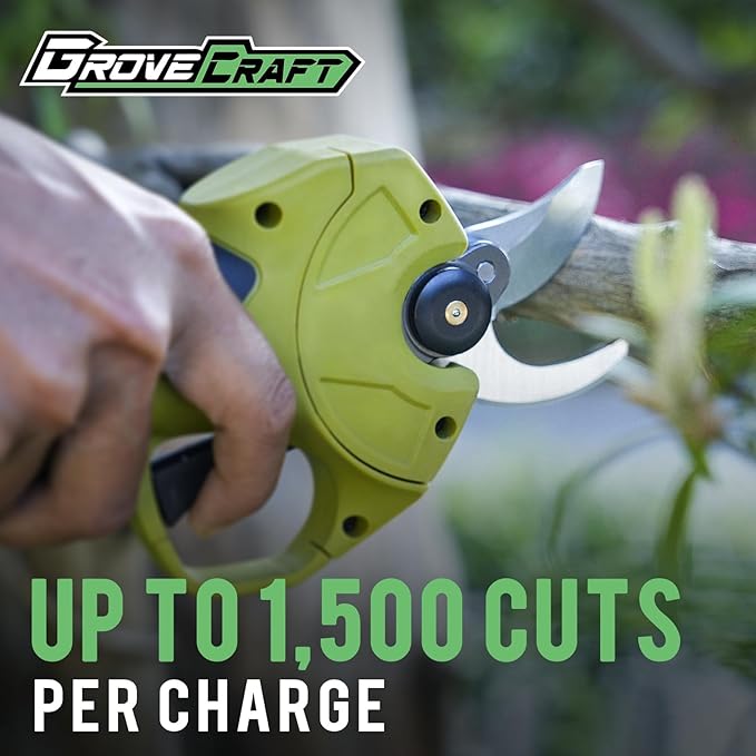 20V 2-in-1 Brushless Pole Pruning Shear with 2 Battery, Battery Powered Cordless Electric Pruning with Lubricant, 1-Inch Cutting Diameter Tree Pruner(Fast Charger Included)