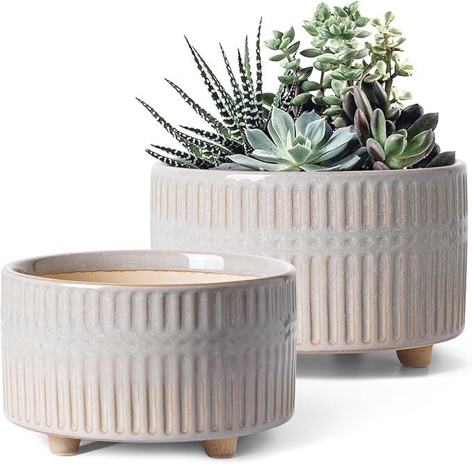LE TAUCI Succulent Pots, 6.5+8 Inch Ceramic Indoor Plant Pot with Drainage Hole, Shallow Round Succulent Planters, Set of 2, Reactive Glaze Star White