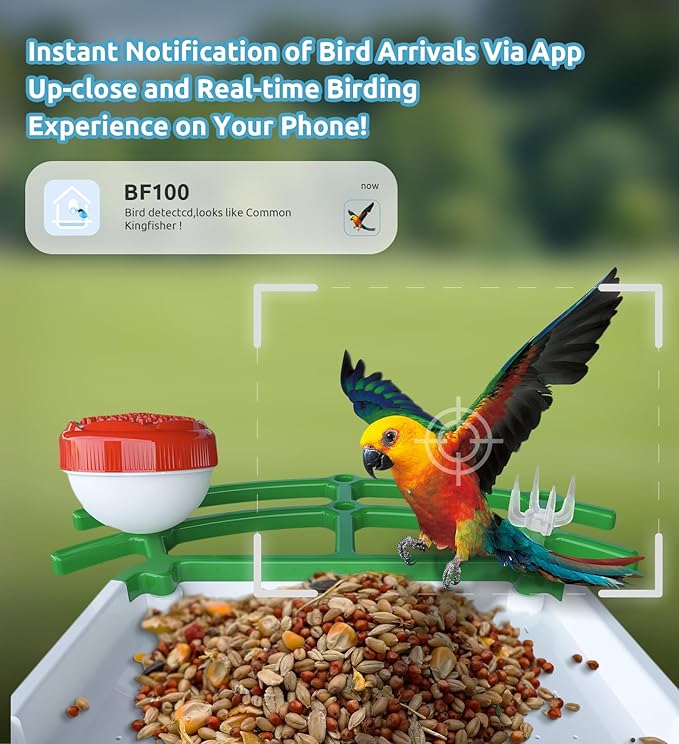 Smart Bird Feeder with Camera, 2K Live View AI Identify Birds Species with Solar Panel, Outdoors Birdhouse with Camera, Instant Arrival Alerts, Christmas Gifts for Bird Lovers