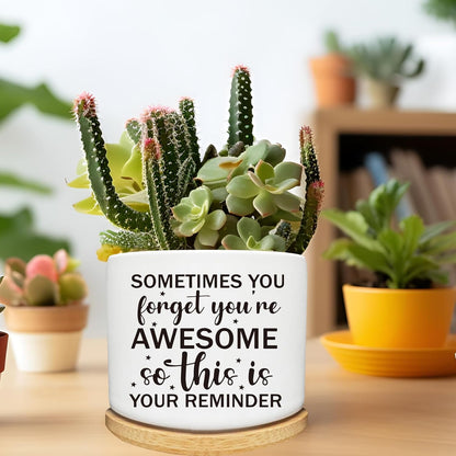 Succulent Cactus Cute Planter Pots with Bamboo Tray, Office Kitchen Home Windowsill Indoor Decor, Gift for Friends Mom Women Coworkers Teachers Plant Lovers