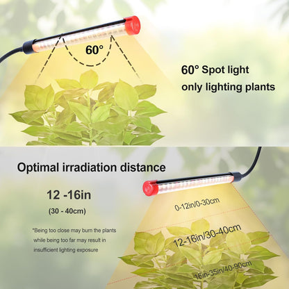 4-Head Desk Grow Lights for Indoor Plants, Seed Starting, Bonsai, Succulent, Cactus with Timer, 36W Table Top LED Plant Growing Lamps, Enough High-Intensity Like Sun, Best Gift for Plants Lover