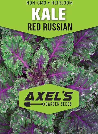 Red Russian Kale Seeds for Planting – Plant & Grow Heirloom Non GMO Red Russian Kale in Home Outdoor Vegetable Garden, Brassica Napus VAR. pabularia – 3 Packets