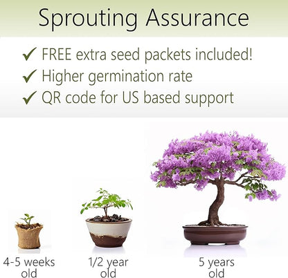 Bonsai Starter Kit – Growing Jacaranda Bonzai Tree from Seeds | Complete Indoor Tree Kit for Growing Plants with Tools & Planter – Gardening Gifts for Mother, Women & Men