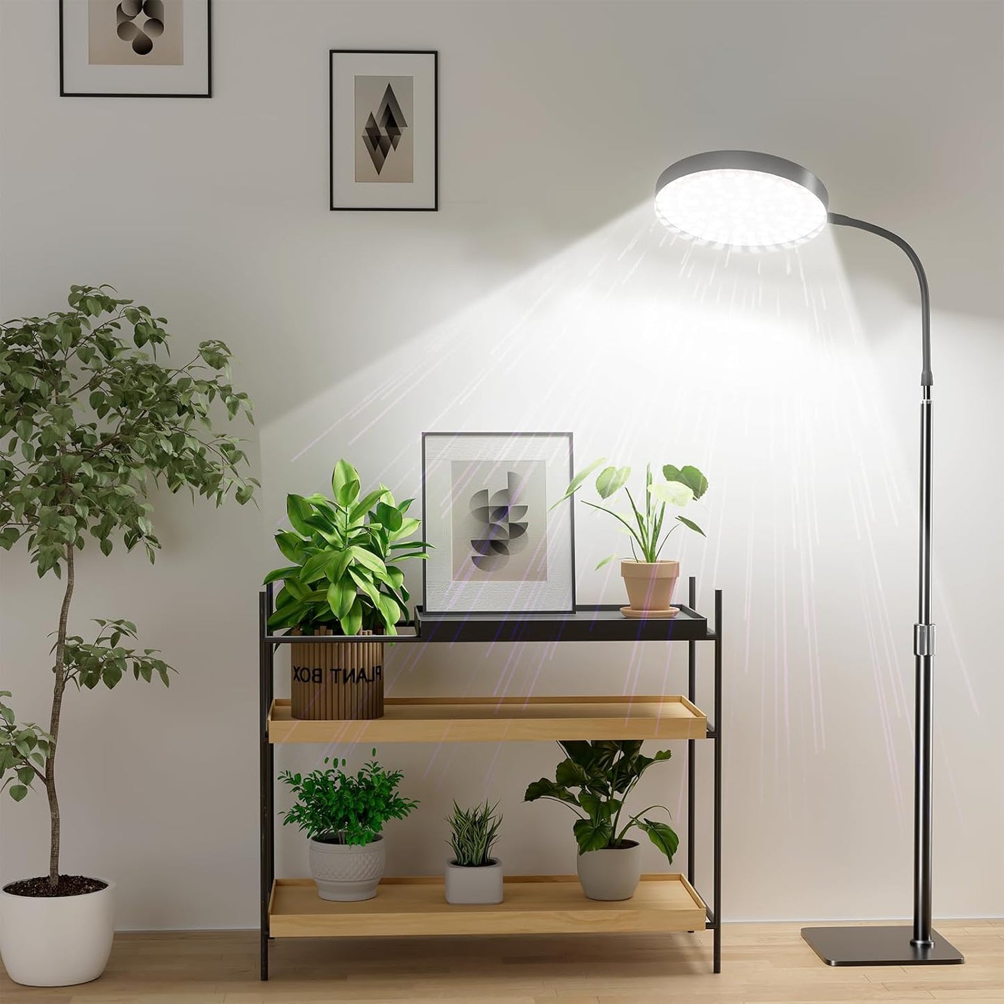 Grow Lights for Indoor Plants Full Spectrum with Stand, Floor Plant Growing Lamp with 216 LEDs for Large Plants, Auto ON/Off Timer 4/8/12H, 5 Dimmable Levels, 40-52 inches Adjustable Height