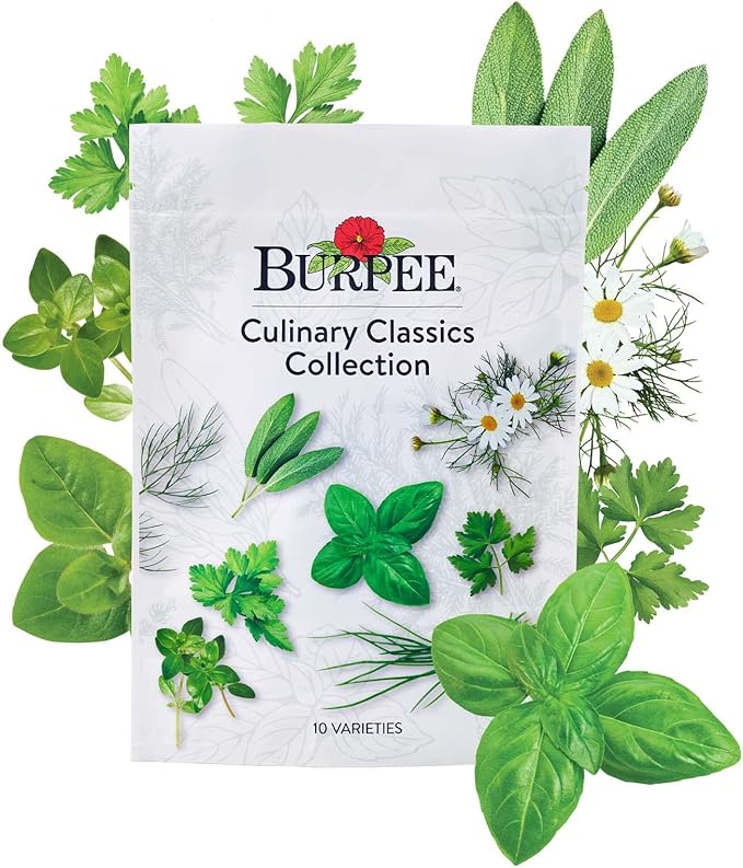 Burpee Culinary Classics Garden Collection 10 Packets of Non-GMO Chives, Cilantro, Basil, Sage, Thyme, Dill, Parsley, Chamomile, Marjoram & Oregano | Kitchen Herb Variety Pack, Seeds for Planting
