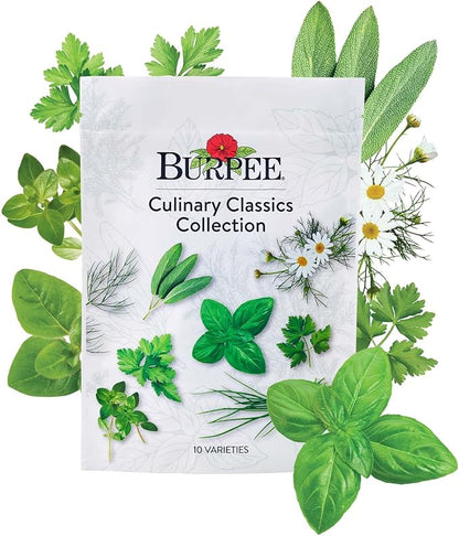 Burpee Culinary Classics Garden Collection 10 Packets of Non-GMO Chives, Cilantro, Basil, Sage, Thyme, Dill, Parsley, Chamomile, Marjoram & Oregano | Kitchen Herb Variety Pack, Seeds for Planting