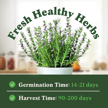 Seedboy Organic Rosemary Seeds for Planting Indoor and Outdoor, Non-GMO and USDA Certified Herb Seed Packet for Hydroponic Garden Indoor or Planting Outdoors (Rosemary)