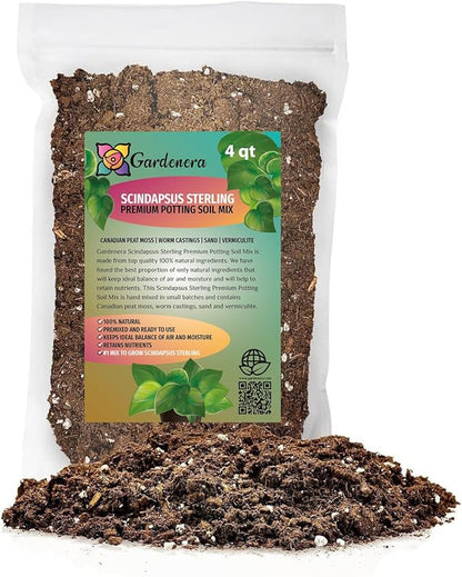 Gardenera Scindapsus Sterling Potting Mix - Promote Strong Roots and Captivating Foliage with Our Premium Blend - 4 Quart