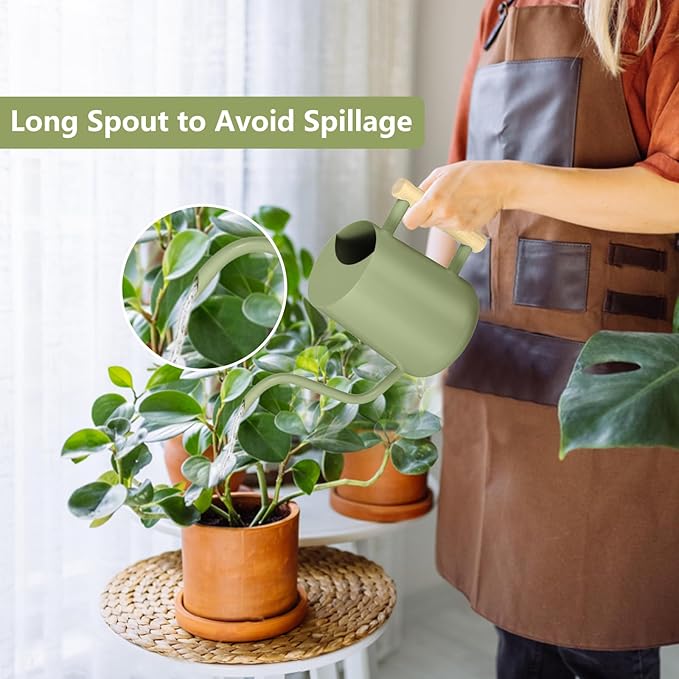 Watering Can Indoor Plants, 35oz Small Indoor Stainless Steel Metal Watering Can Modern Decorative Watering Pot with Long Spout for Indoor House Plant Bonsai Garden Flowers (Sage Green)
