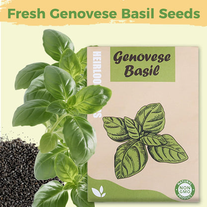 Basil Seed Pods Kit Hydroponic - Refill Herb Pod for All Indoor Garden, 8 Grow Pods with Seeds of Genovese Basil, Compatible with All Hydroponics Growing Systems