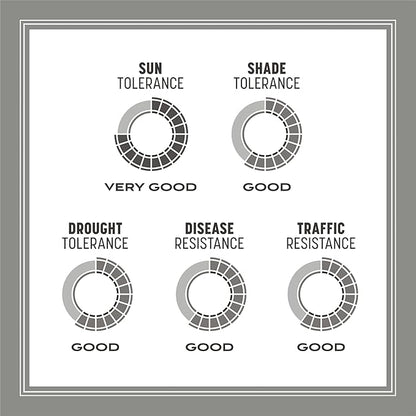 Pennington Contractors Grass Seed Mix Northern Mix 40 lb