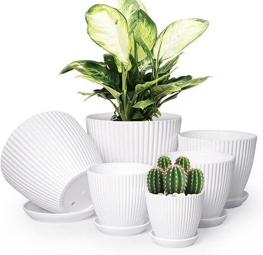 Plant Pots Indoor with Saucers & Drainage - 6 Pack Flower Pots - Plastic Planters for Indoor Planter - 7.5/6.6/5.8/5.0/4.3/3.5 inches Sizes for All Different Types of Plants - White