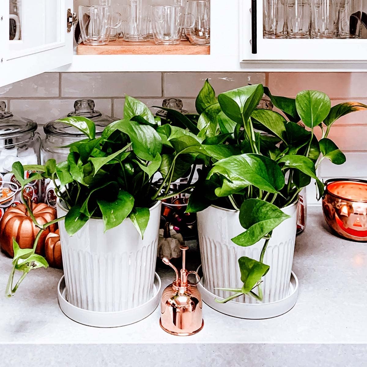 Watering Can Indoor Plants - Copper Plant Mister - Stylish and Rust Resistant Watering Cans for Healthy Hydration - Prevents Overwatering