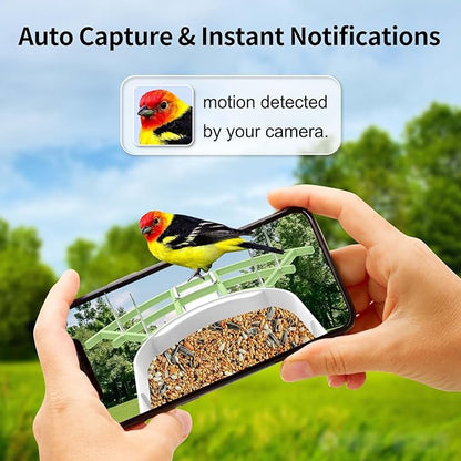 Bird Feeder with Camera, AI Identify Birds Species, FHD 2K Video Quality Bird Watching, Wireless Outdoor Weatherproof Birds House, Solar-Powered, for Garden, Yard,Patio, Green