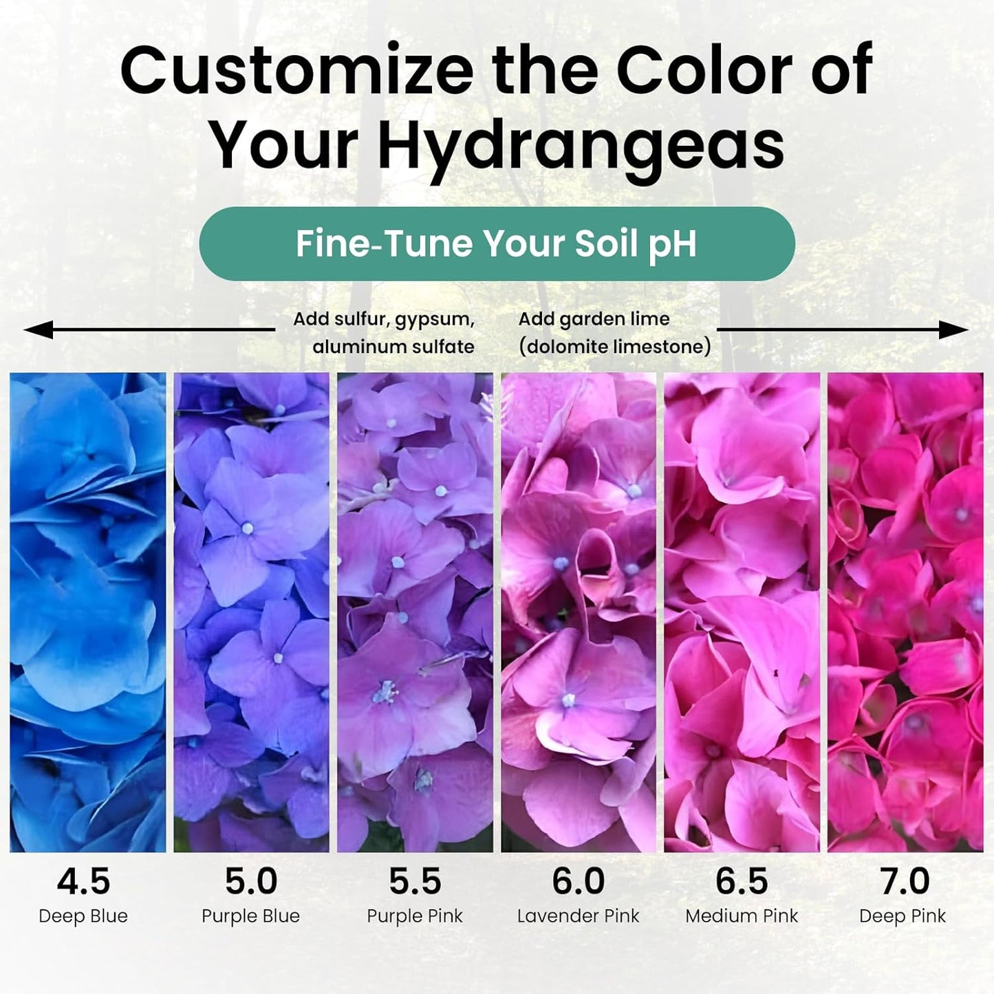 Soil pH Test Kit (3-9 Range) 100 Soil pH Tester Strips, Test Soil of Garden Lawn Grass Vegetable Flower Compost Indoor & Outdoor Plants