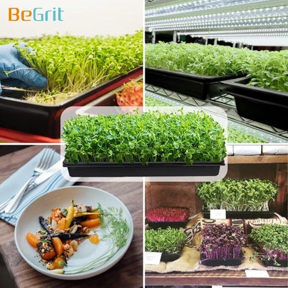 BeGrit 1020 Trays Thickened Nursery Plant Trays Seedling Tray Seed Starter Tray Microgreen Growing Tray No Drain Holes -6 Pack