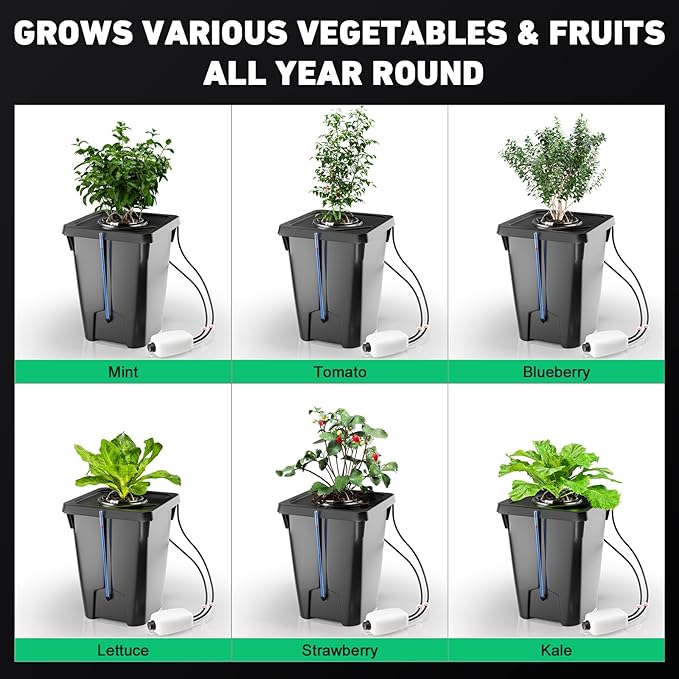 DWC Hydroponics Growing System with Top Drip Kit 7 Gallon Deep Water Culture Bucket System with Air Pump, Air Stone, Air Hose, Recirculating Drip Garden System
