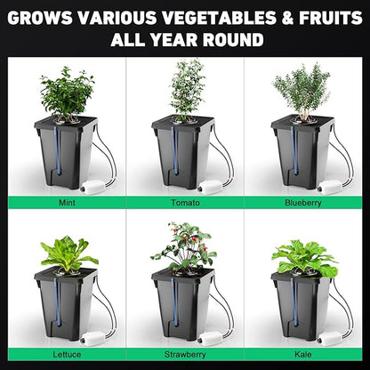 2 Buckets DWC Hydroponics Grow System with Top Drip Kit, 7 Gallon Deep Water Culture with Air Pump, Air Stone, Air Hose, Recirculating Drip Garden System