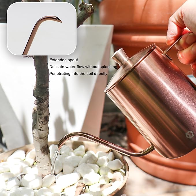 OFFIDIX Watering Can for Indoor Plants Long Spout Metal Stainless Steel 21 oz/600 ml Small Watering Can with 14 oz/400ml Glass Plant Mister Spray Bottle for Plants Bonsai