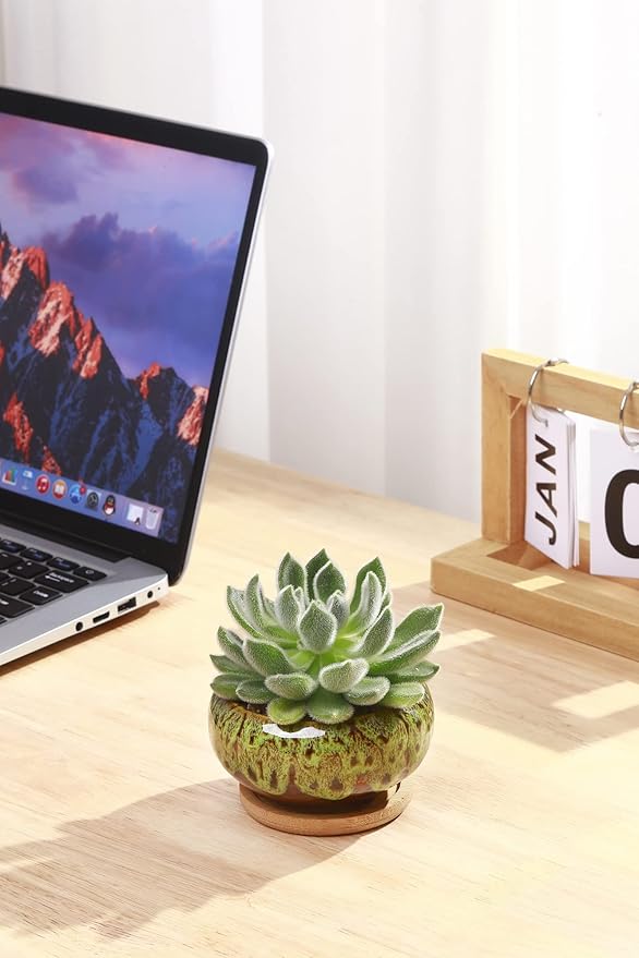 Cute Ceramic Succulent Garden Pots, Planter with Drainage and Attached Saucer, Set of 5 -Plants Not Included (Vivid Colors)