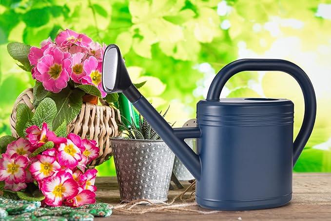 Watering Can 1 Gallon for Indoor Plants, Garden, Outdoor Plant House Flower, Gallon Large Long Spout with Sprinkler Head (Blue)