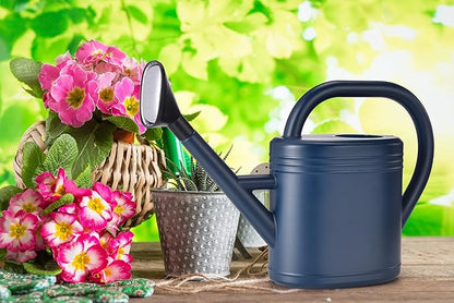 Watering Can 1 Gallon for Garden, Indoor Plants, Outdoor Plant House Flower, Large Long Spout with Sprinkler Head (Grey)