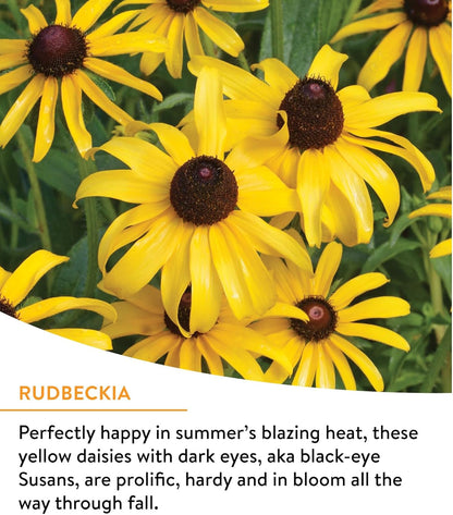 Burpee Wildflower 25,000 Bulk, 1 Bag, 18 Varieties of Non-GMO Flower Seeds Pollinator Garden, Pollinator Mix