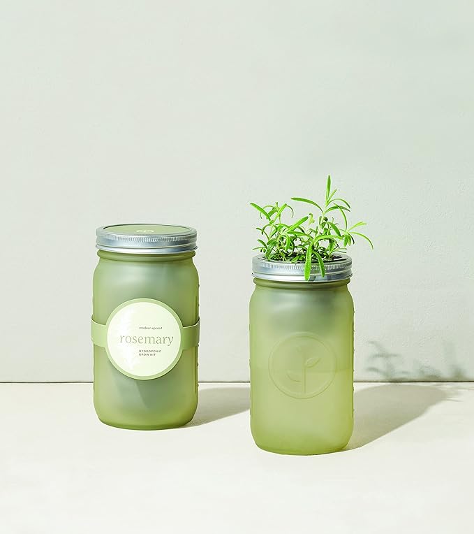 Modern Sprout Glass Jar Grow Set, Indoor Herb Garden, Seed Starter Set, Organic, Non-GMO, Rosemary