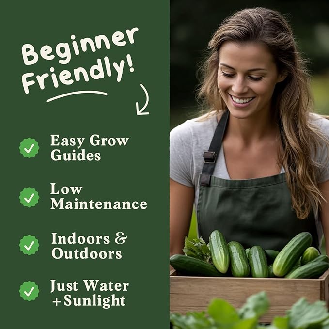 Seedboy Organic Cucumber Seeds for Planting Indoor and Outdoor, Non-GMO and USDA Certified Vegetable Seed Packet for Hydroponic Garden Indoor or Planting Outdoors (Marketmore Cucumber)