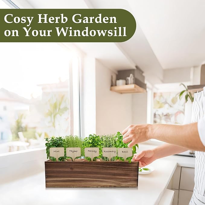 5 Herb Garden Planter Indoor with Wooden Box, Home Kitchen Seed Starter Kit Including Basil, Thyme, Parsley, Rosemary, Mint, Birthday, Mothers Day, House Warming, Gardening Gifts for Women, Mom