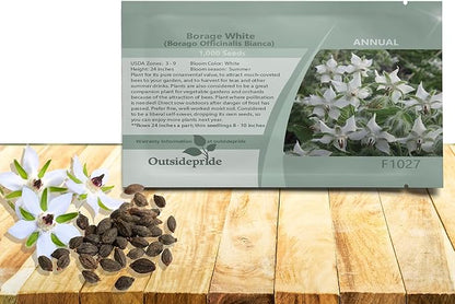 Outsidepride White Borage Seeds for Planting – 1000 Pcs. Annual, Drought-Tolerant Herb Seeds with Star-Shaped Blooms, Attracts Bees for Pollinator Gardens, Summer Teas, Decoration & Culinary Use