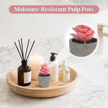 DomeStar 6PCS Small Fake Succulents Plants, Pink Artificial Plants Office Living Room Kitchen Bathroom Decor Desk Decor for Women