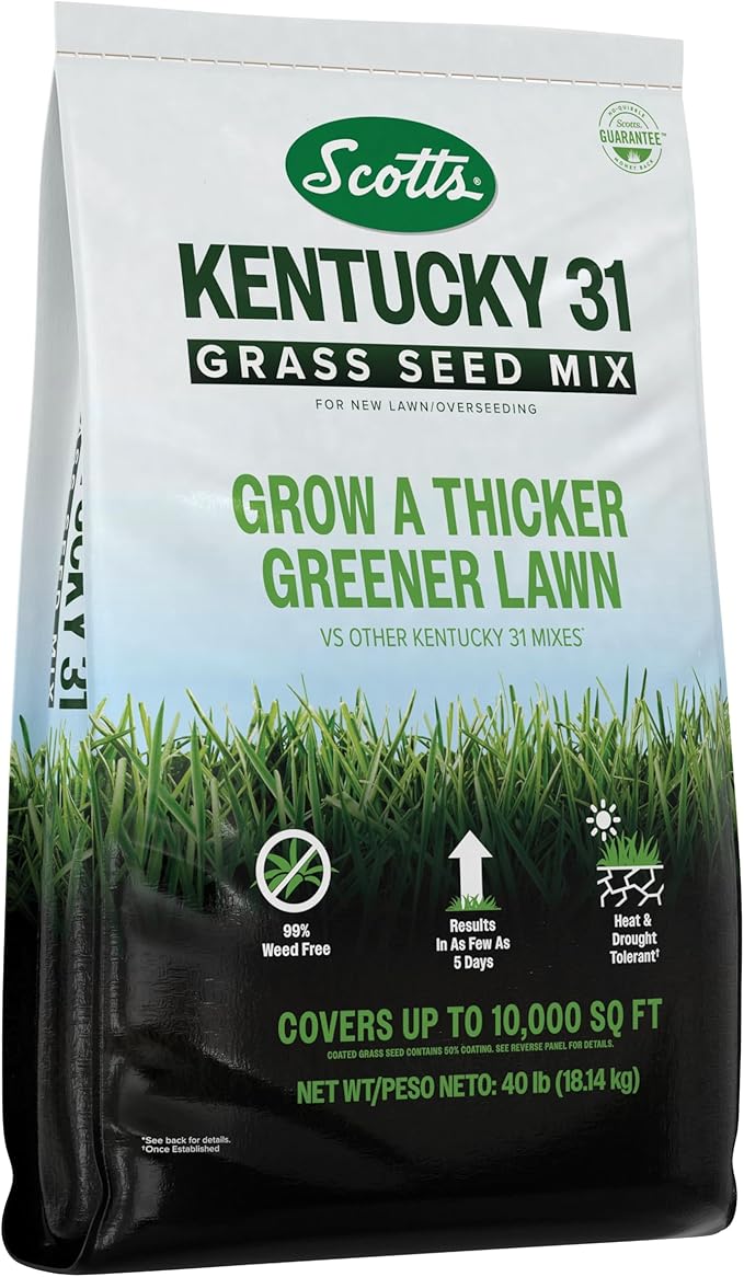 Scotts Kentucky 31 Grass Seed Mix for New Lawns or Overseeding, Grows Thicker and Greener vs. Other Kentucky 31 Mixes, Covers up to 10,000 sq. ft.