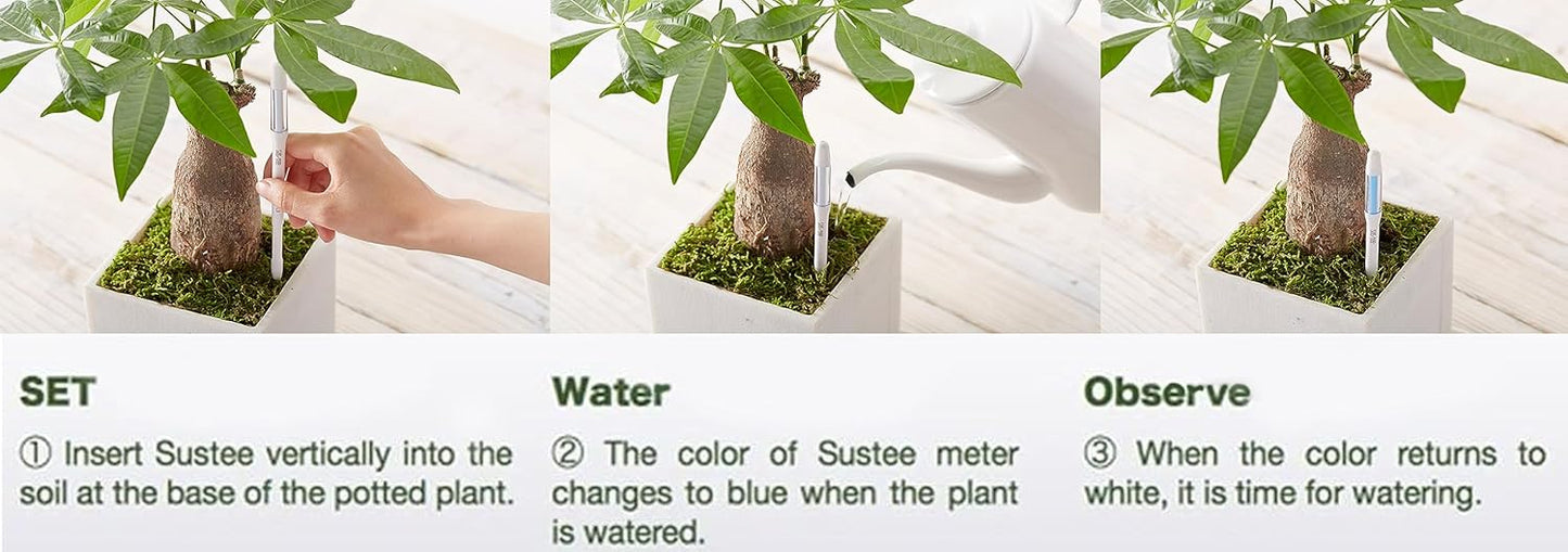 IPPINKA Sustee Aquameter, Bundle of 36, House Plant Soil Moisture Meter, Best for Indoor Potted Plants - Large Green Refillable