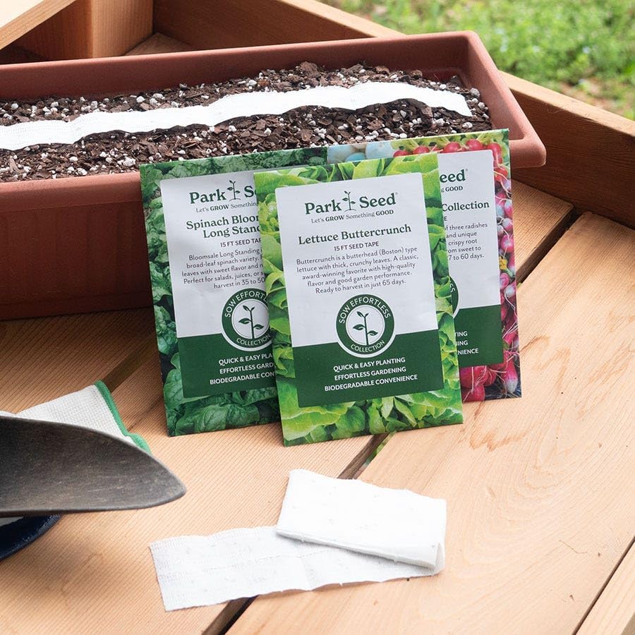 Park Seed Sow Effortless Collection Seed Tape – Red Sails Lettuce, 15 Feet – Easy DIY Planting, AAS-Winning Looseleaf Variety, Buttery Flavor and Ruffled Red Leaves, No Thinning, Ready in 45 Days