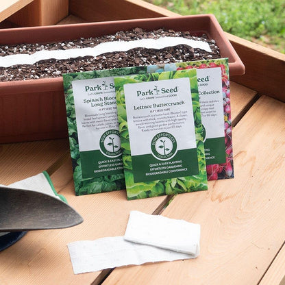 Park Seed Sow Effortless Collection Seed Tape – Red Sails Lettuce, 15 Feet – Easy DIY Planting, AAS-Winning Looseleaf Variety, Buttery Flavor and Ruffled Red Leaves, No Thinning, Ready in 45 Days