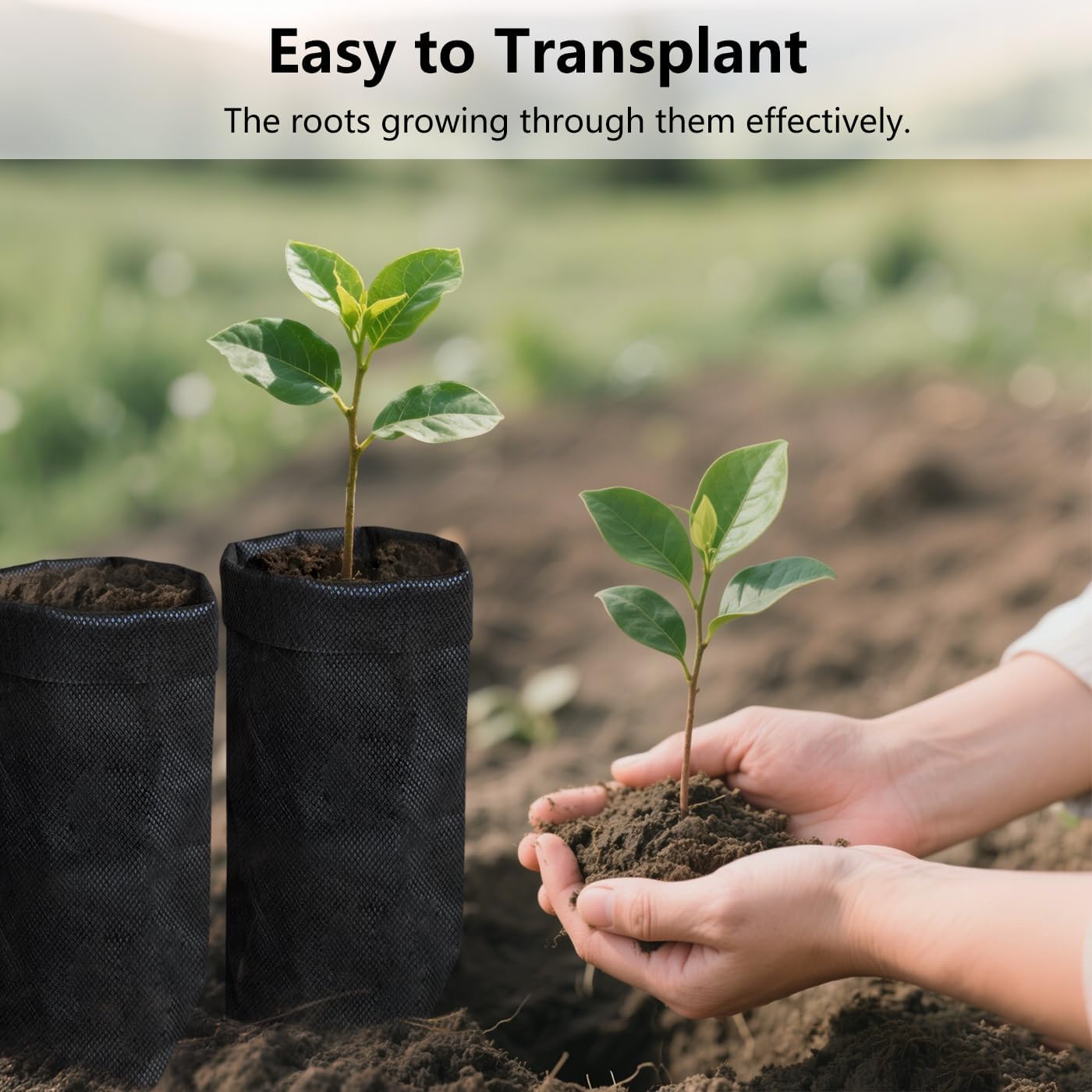 Belit 50 Pcs 10.2" H Deep Nursery Grow Bags, Non-Woven Plants Pots Container for Starting Rooted Plants Vegetable, Flower, Seedling Tree, Black