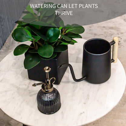 Watering can Indoor Plants,Indoor Watering Can for Plant,35 oz/1000 ml Stainless Steel Watering can Long Spout with Small Vintage Glass Plant Spray Bottle(Black)