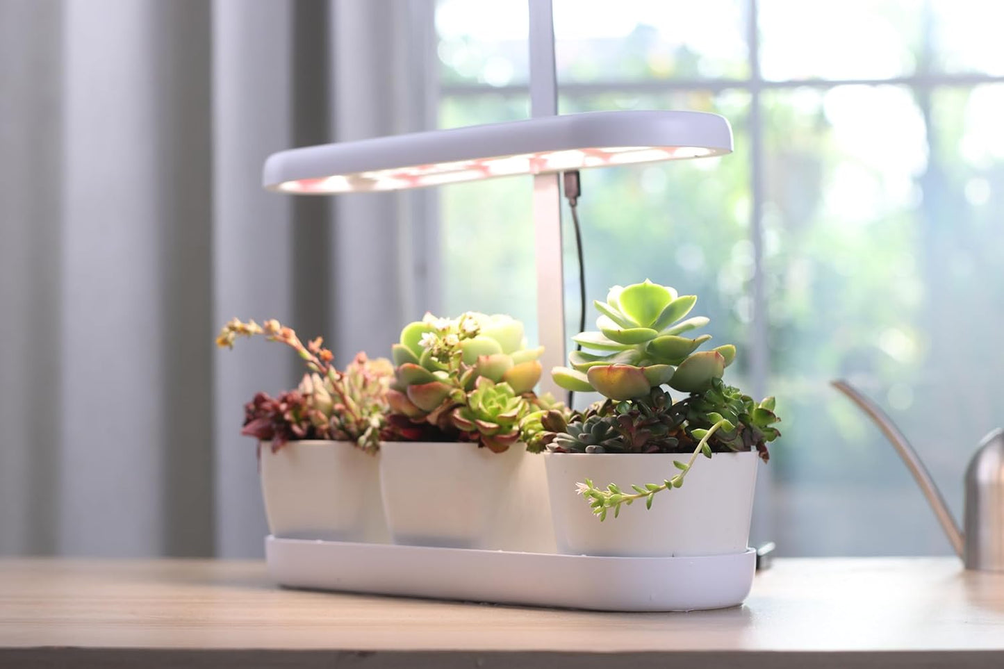 Indoor Garden Led Grow Light, 20W Full Spectrum LED Grow Lamp for Indoor Plants with Intelligent Controller, Height Adjustable, Ideal for Home Desk Plant Lighting (White, ABS Base)