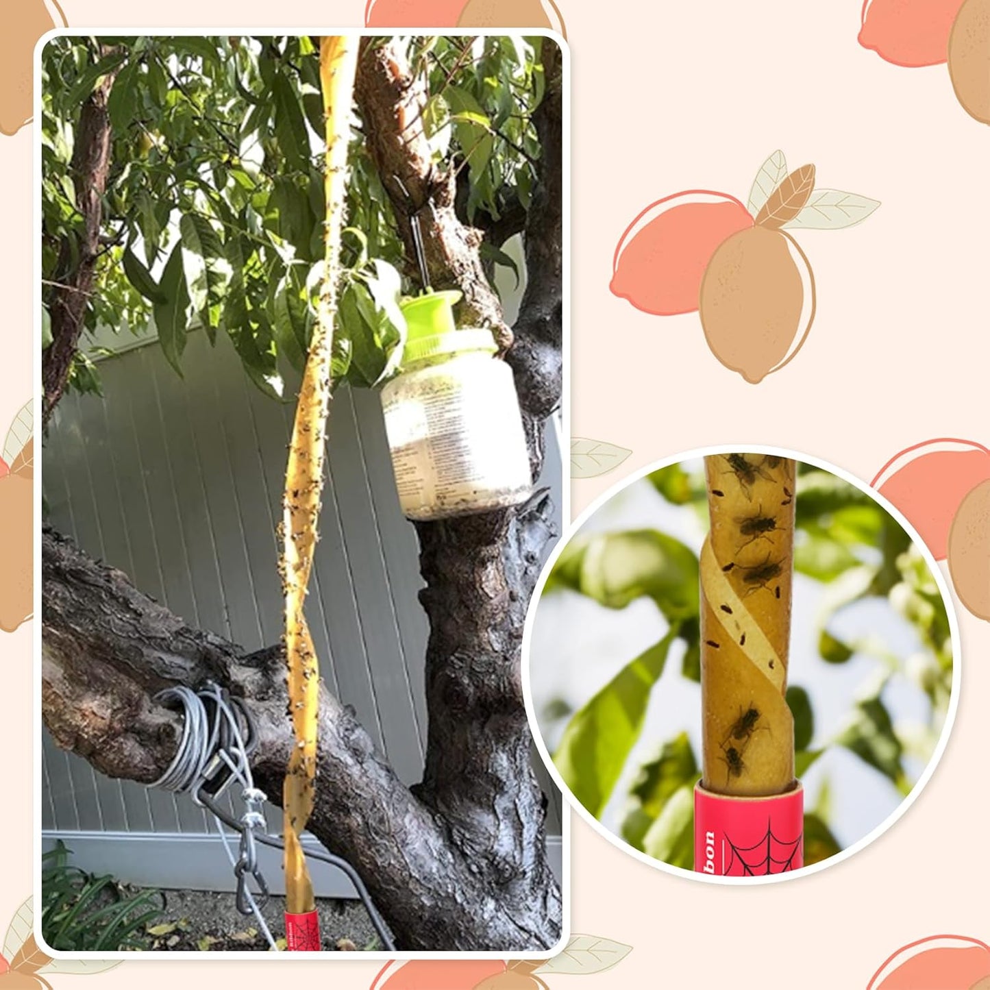 Stingmon 40 Pack Fly Trap, Fruit Fly Traps Indoor for Home, Fly Traps Outdoor Hanging, Flying Insect Trap, Fly Strips Tape Paper Ribbon, Gnat Traps for Bug, Insect, Pest, Mosquito, Red