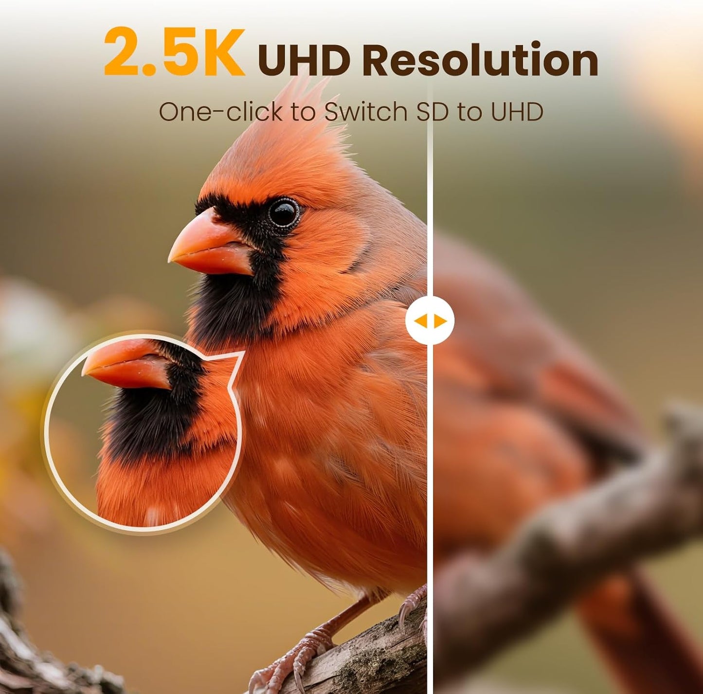 Smart Bird Feeder with Camera, 2.5K UHD Bird Feeder Camera Solar Powerd, Sensitive AI Identification, Instant Alerts Capture Video, IP66 Waterproof for Outdoor, Ideal Gift, Blue