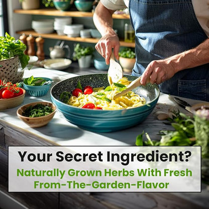 5 Herb Seeds Variety Kit, Oregano, Cilantro, Parsley, Basil, Chives