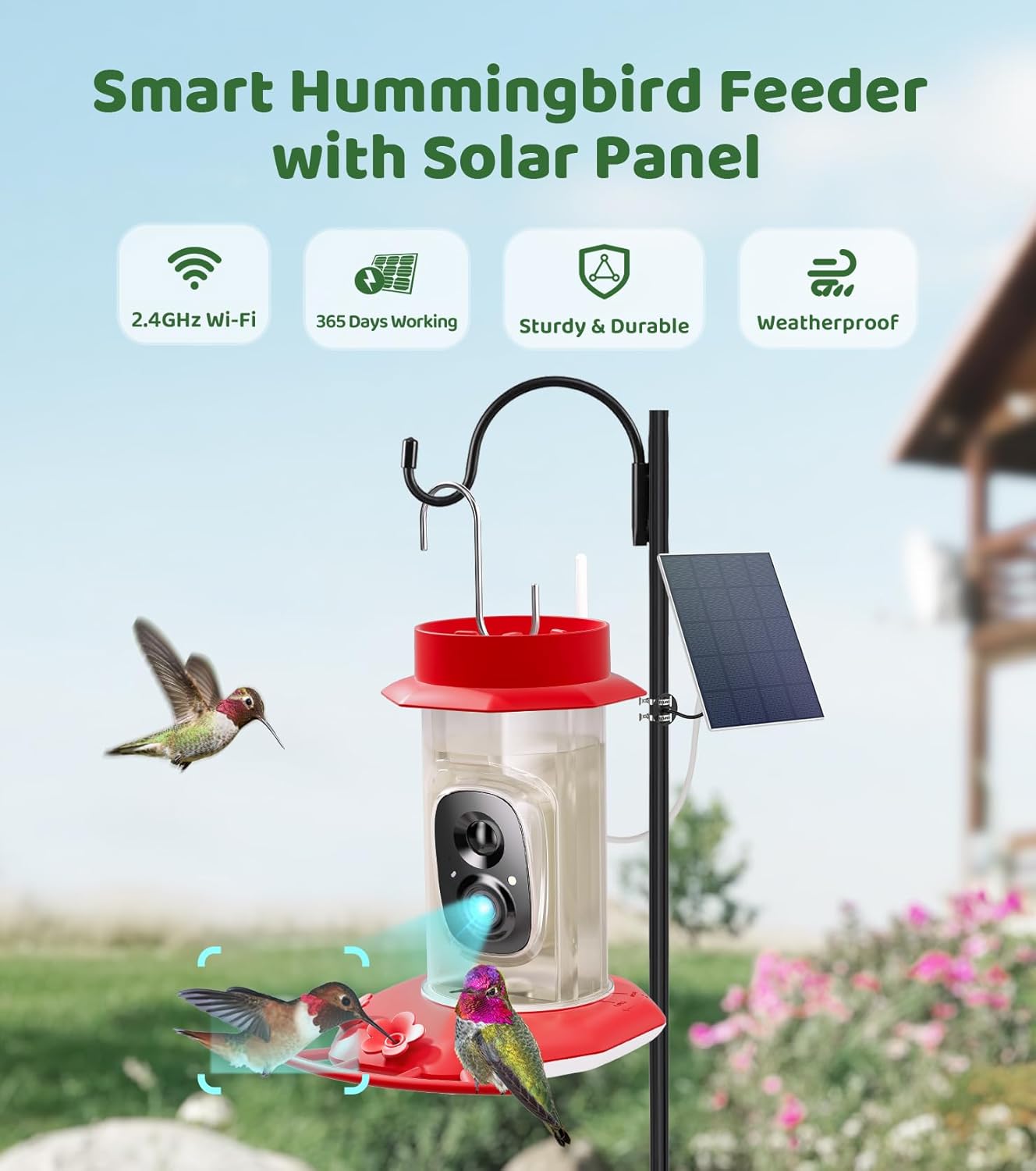 HIXX Smart Hummingbird Feeder with Camera Solar Powered with CoolBirdie Collectible, Ant Moat& Bee Proof, Easy Clean, Includes Limited Edition Plush Bird Toy, for Hummingbird Lover&Family