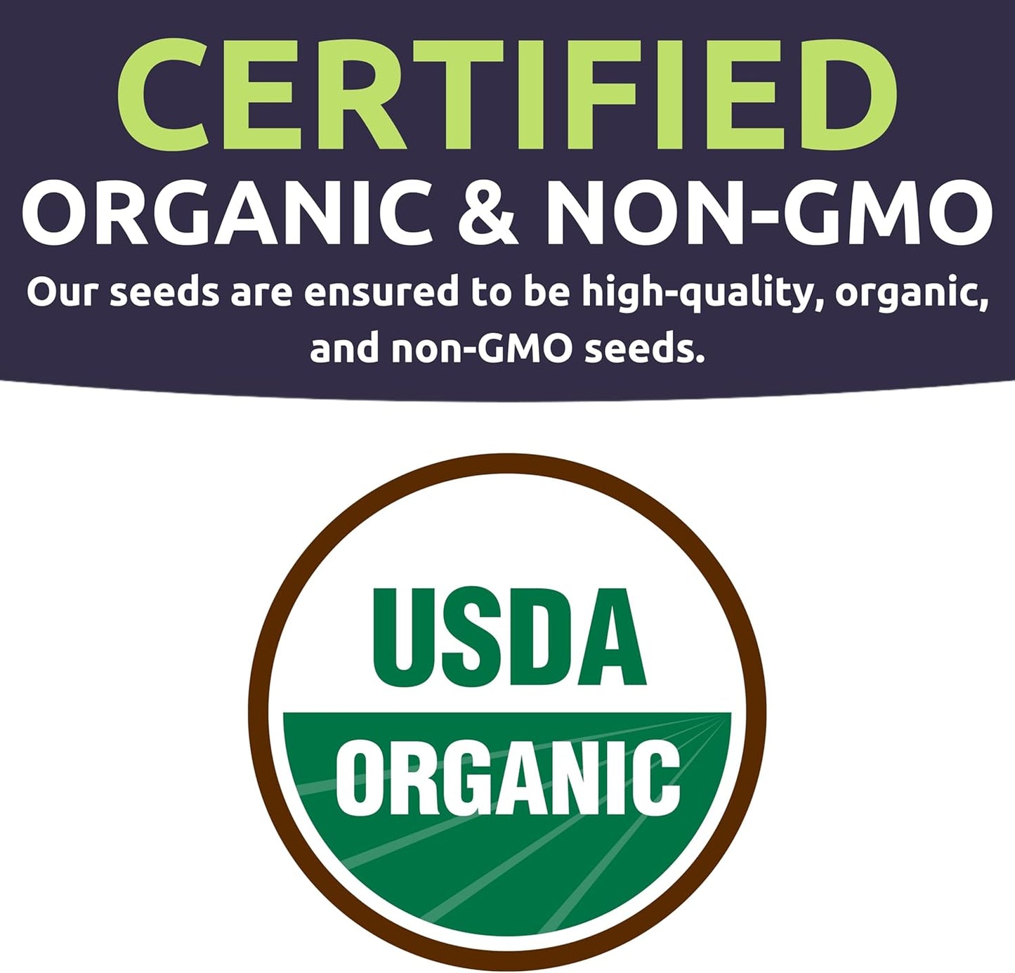 Organic Container Garden Seeds Variety Pack - 10 Individual Packs - 2025 Season - Ruquette arugula, Genovese Basil and More! for Indoor & Outdoor Planting (Non-GMO, Certified Organic)