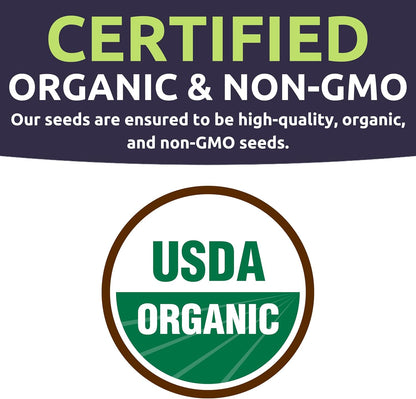 Organic Container Garden Seeds Variety Pack - 10 Individual Packs - 2025 Season - Ruquette arugula, Genovese Basil and More! for Indoor & Outdoor Planting (Non-GMO, Certified Organic)