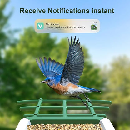 Smart Bird Feeder with Camera: Solar Powered Birdhouse with AI Recognition, Wireless Bird House with Camera for Outdoor, Unique Birthday Gifts for Mom Dad